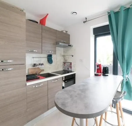 Apartman Fashion Proche Stade Groupama , Eurexpo , Ldlc Arena